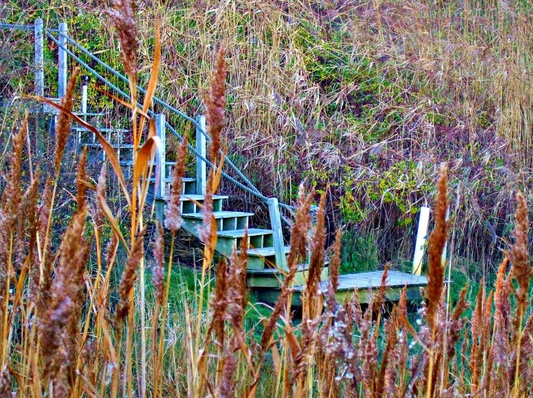 Secret Staircase