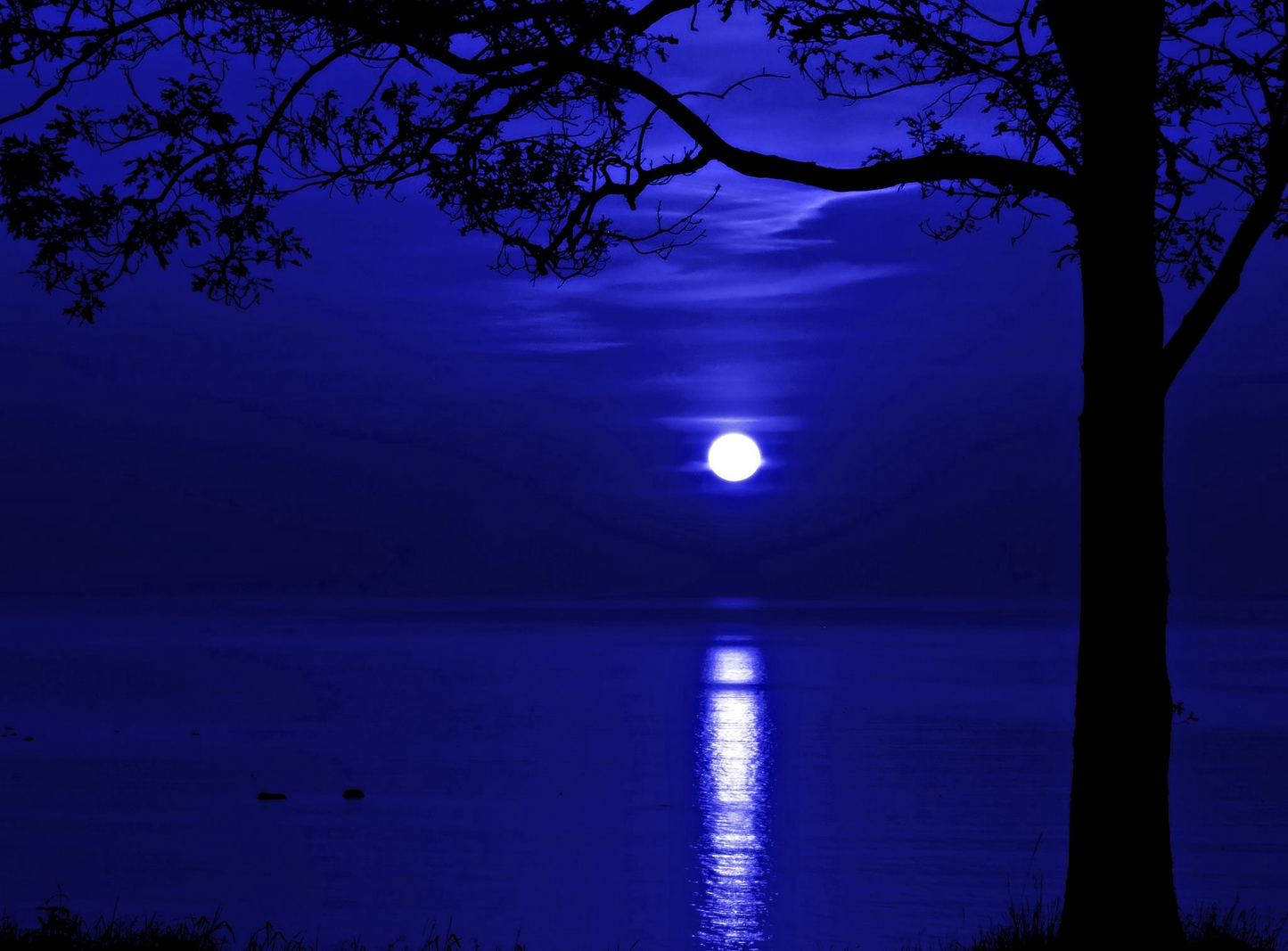 Once in a Blue Moon