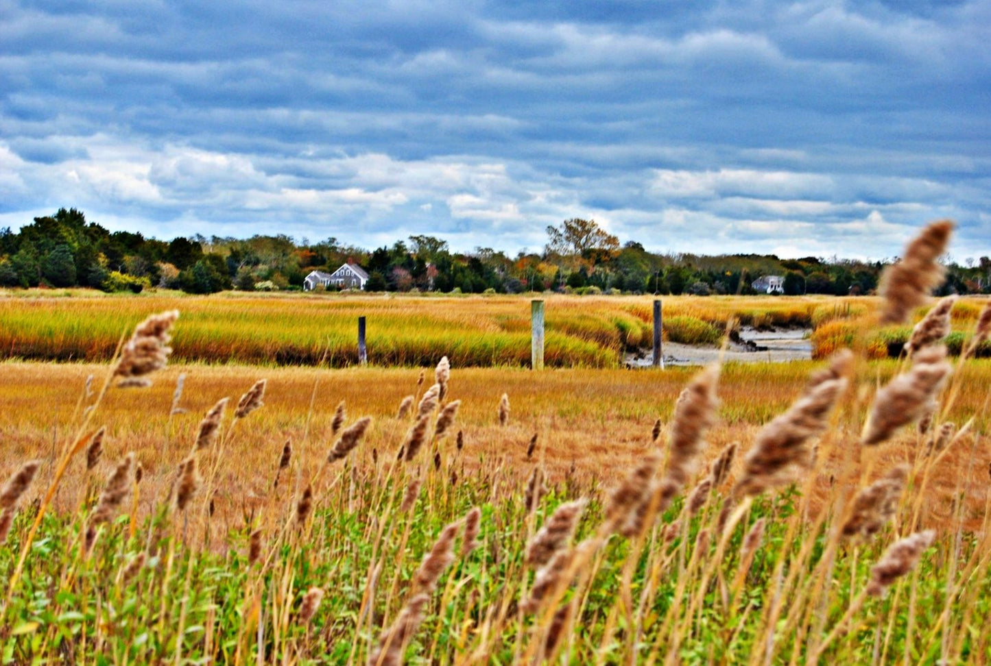 Autumn on Cape Cod