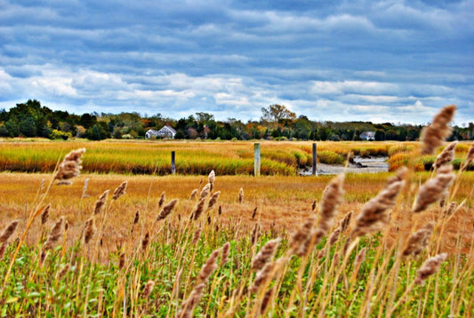 Autumn on Cape Cod
