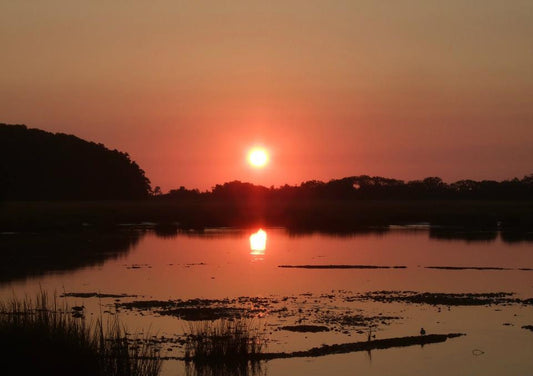 Ellisville Marsh Sunrise — Set of Four