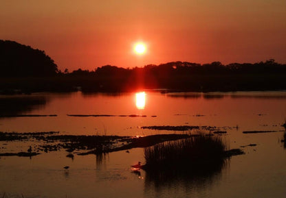 Ellisville Marsh Sunrise — Set of Four