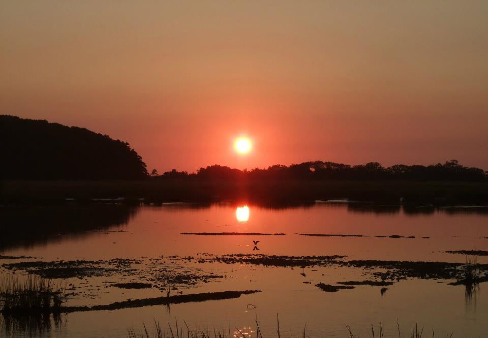 Ellisville Marsh Sunrise — Set of Four